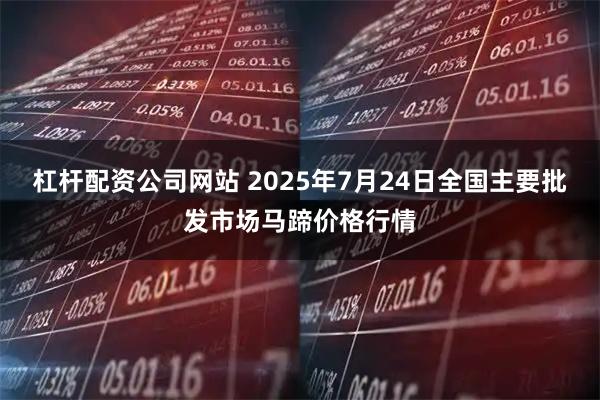 杠杆配资公司网站 2025年7月24日全国主要批发市场马蹄价格行情